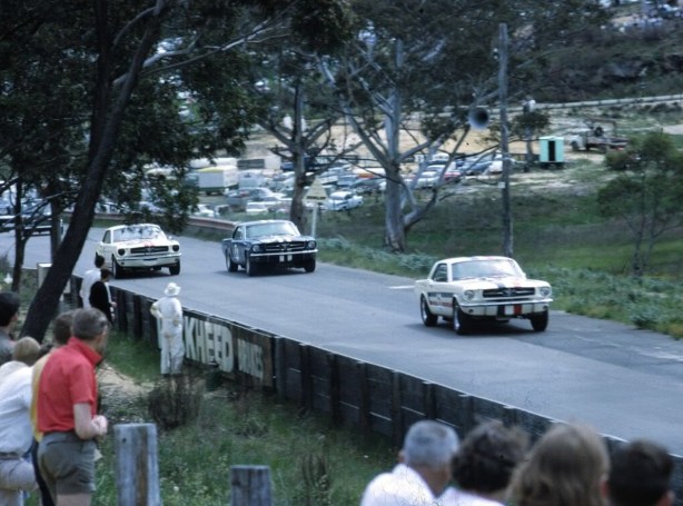 mustangs catalina park