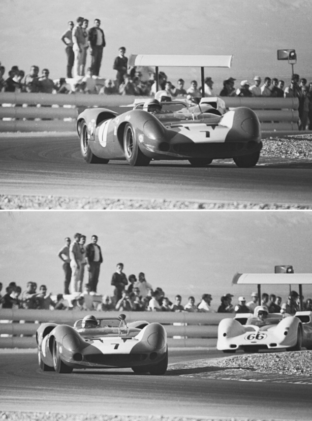 surtees and hall