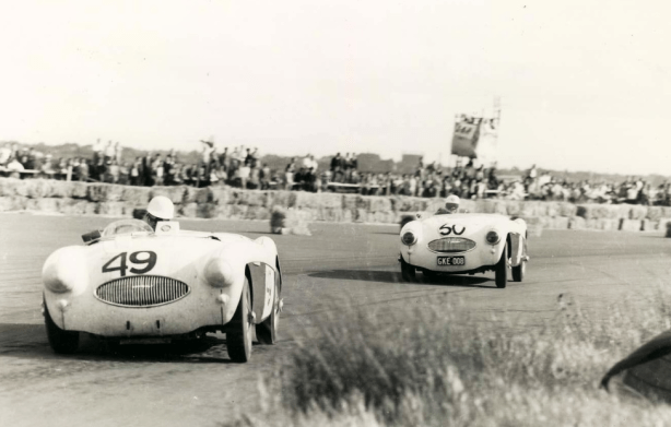 austin healey 100's
